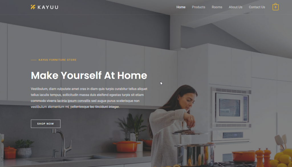 Furniture Company